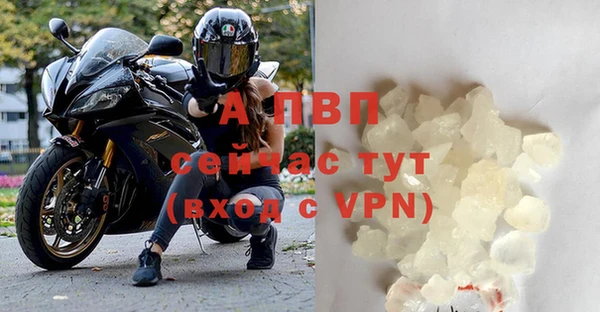 ГАЛЛЮЦИНОГЕННЫЕ ГРИБЫ Елизово