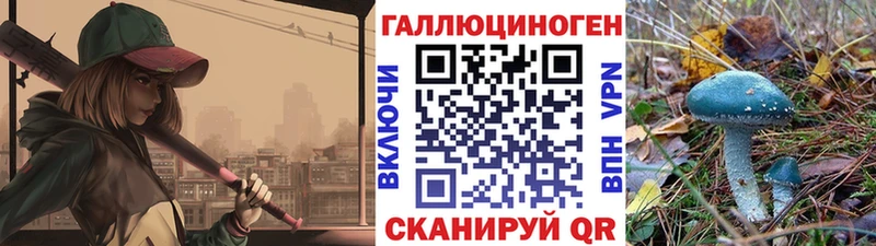 Псилоцибиновые грибы GOLDEN TEACHER  Купить где  Терек 